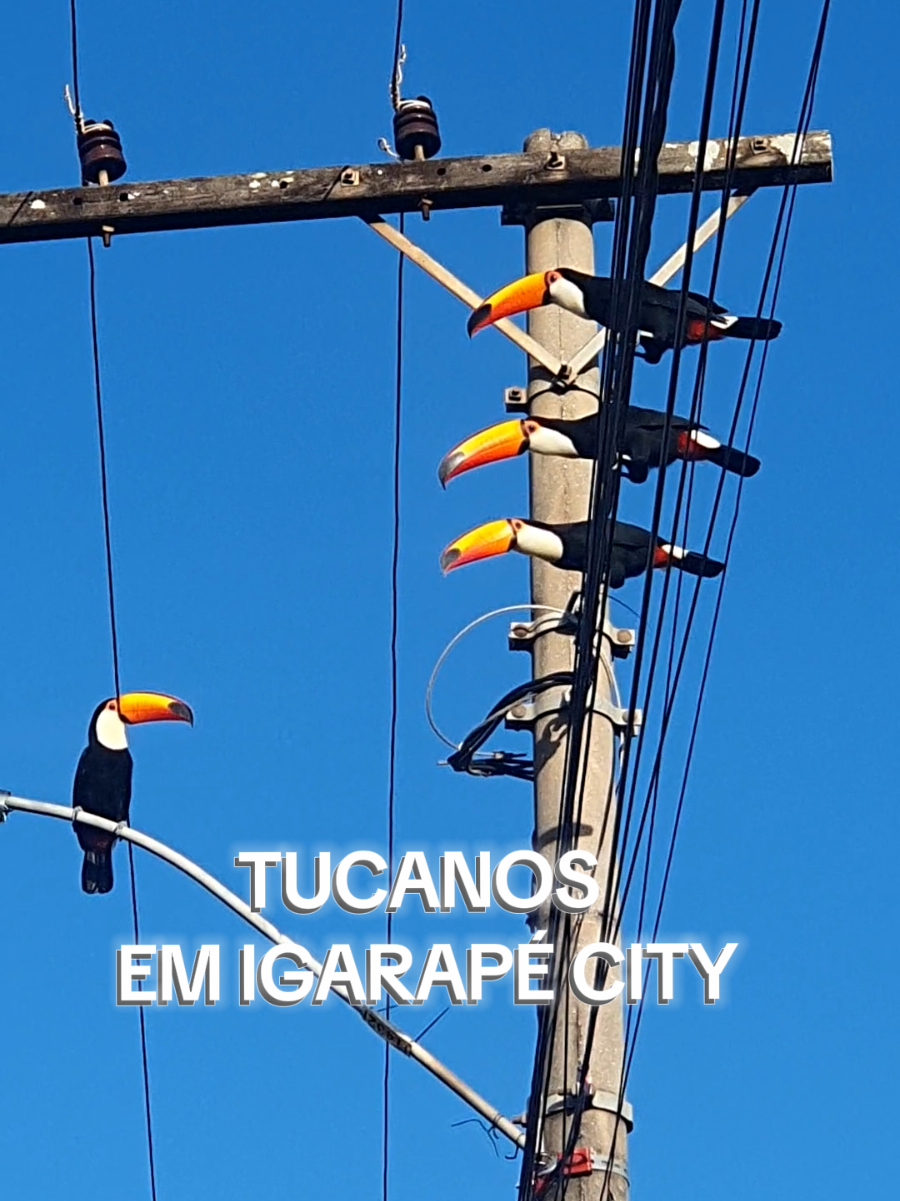@Jessika Sobral