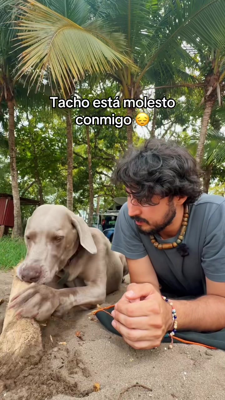 @Patricio Ramírez