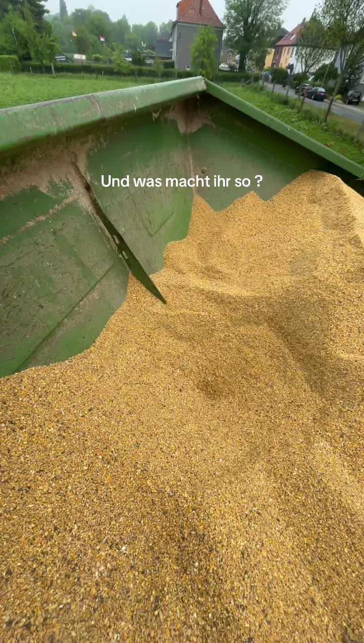 @sophie_pinnekaemper
