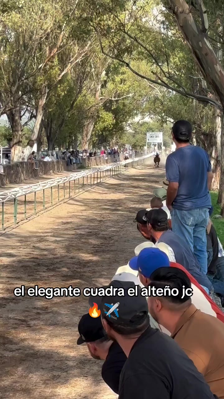 @carriles altos de jalisco🐎