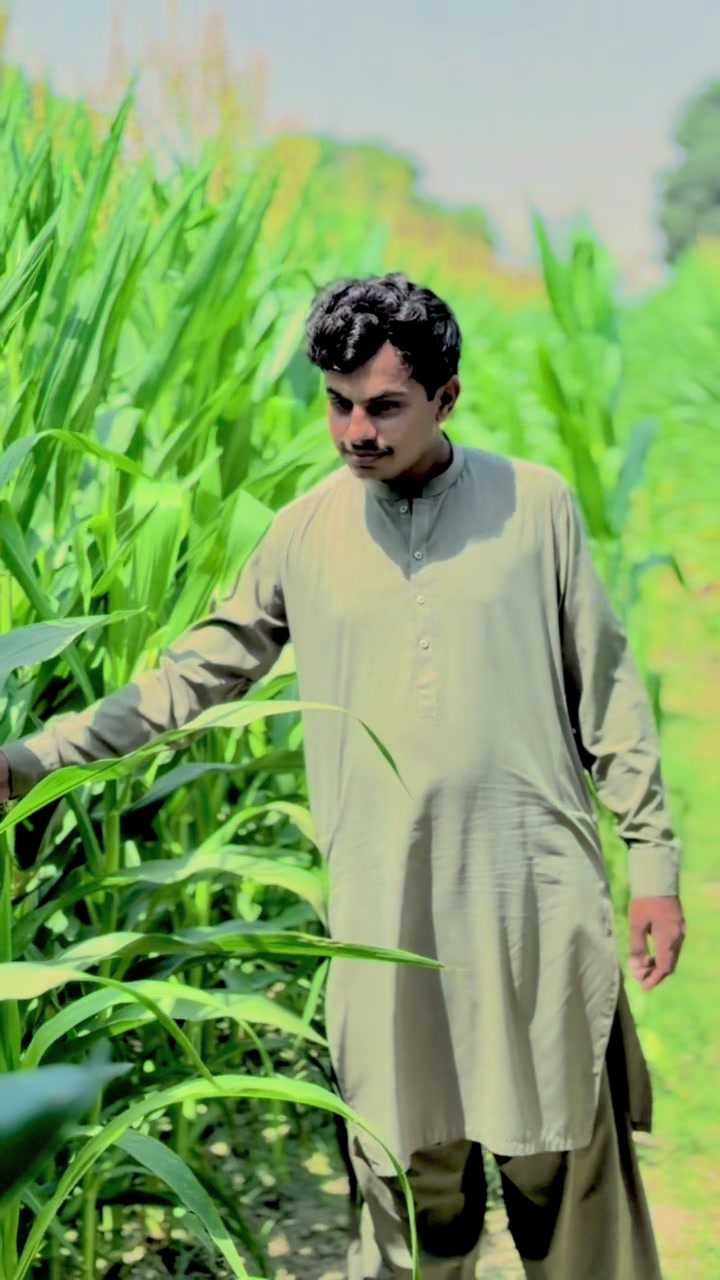 @Nadeem Balouch