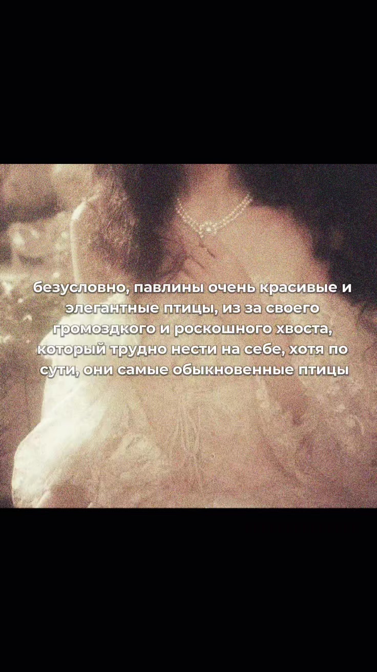 @ура кавех ода кавех
