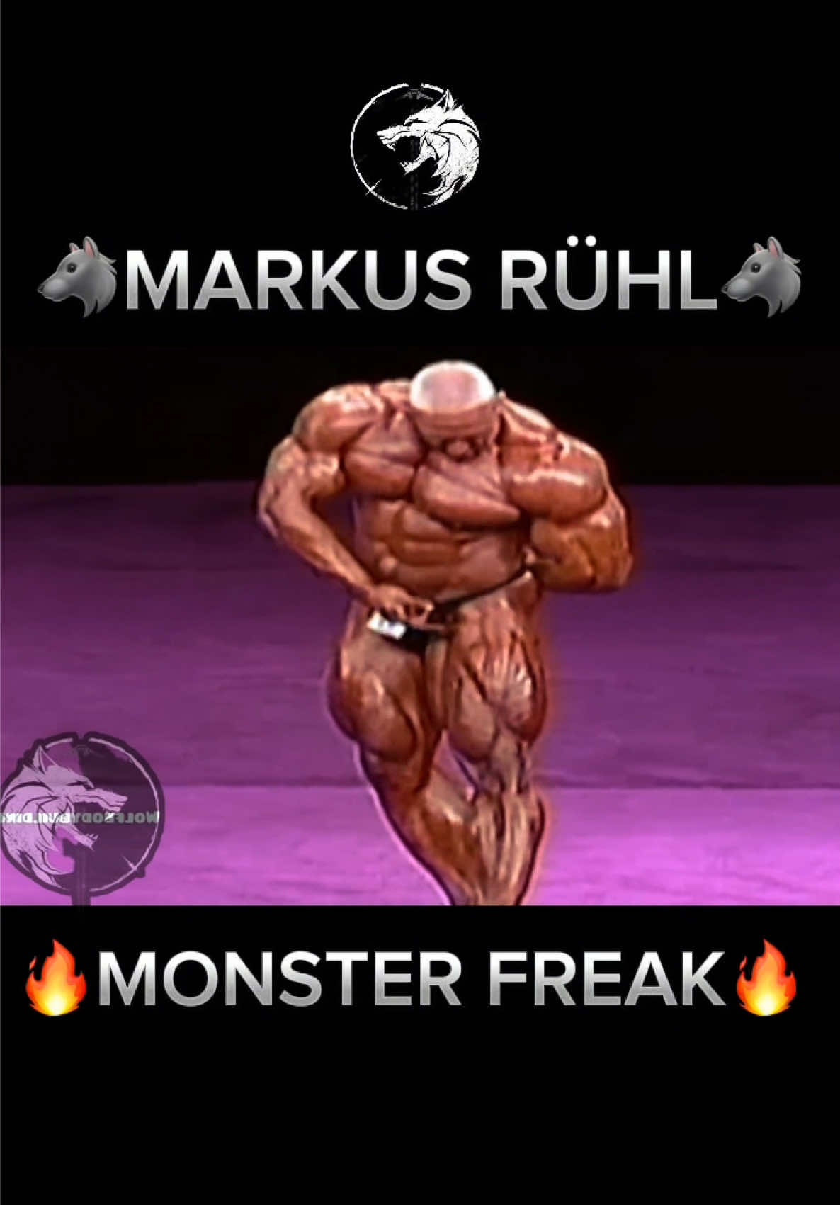 @wolfbodybuilding