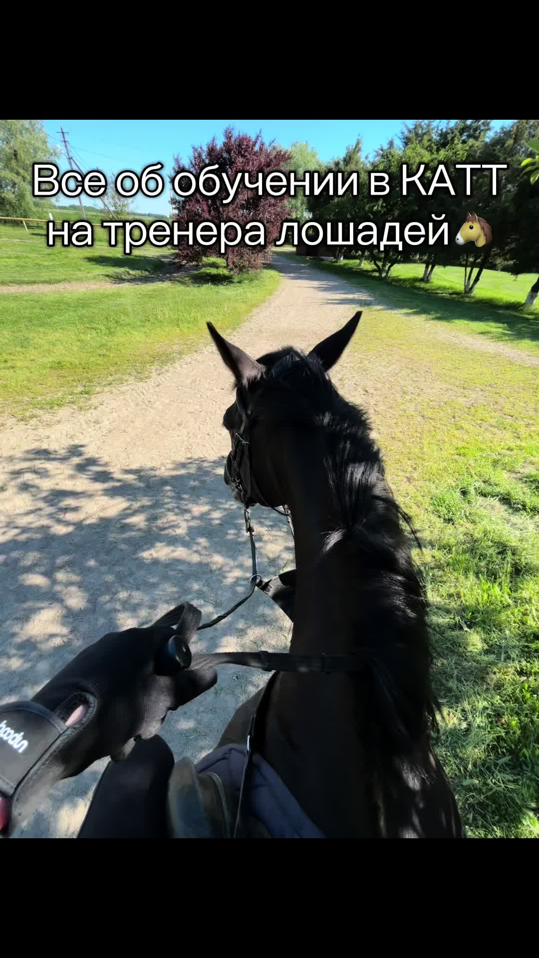 @ТГК Kristina_KATT