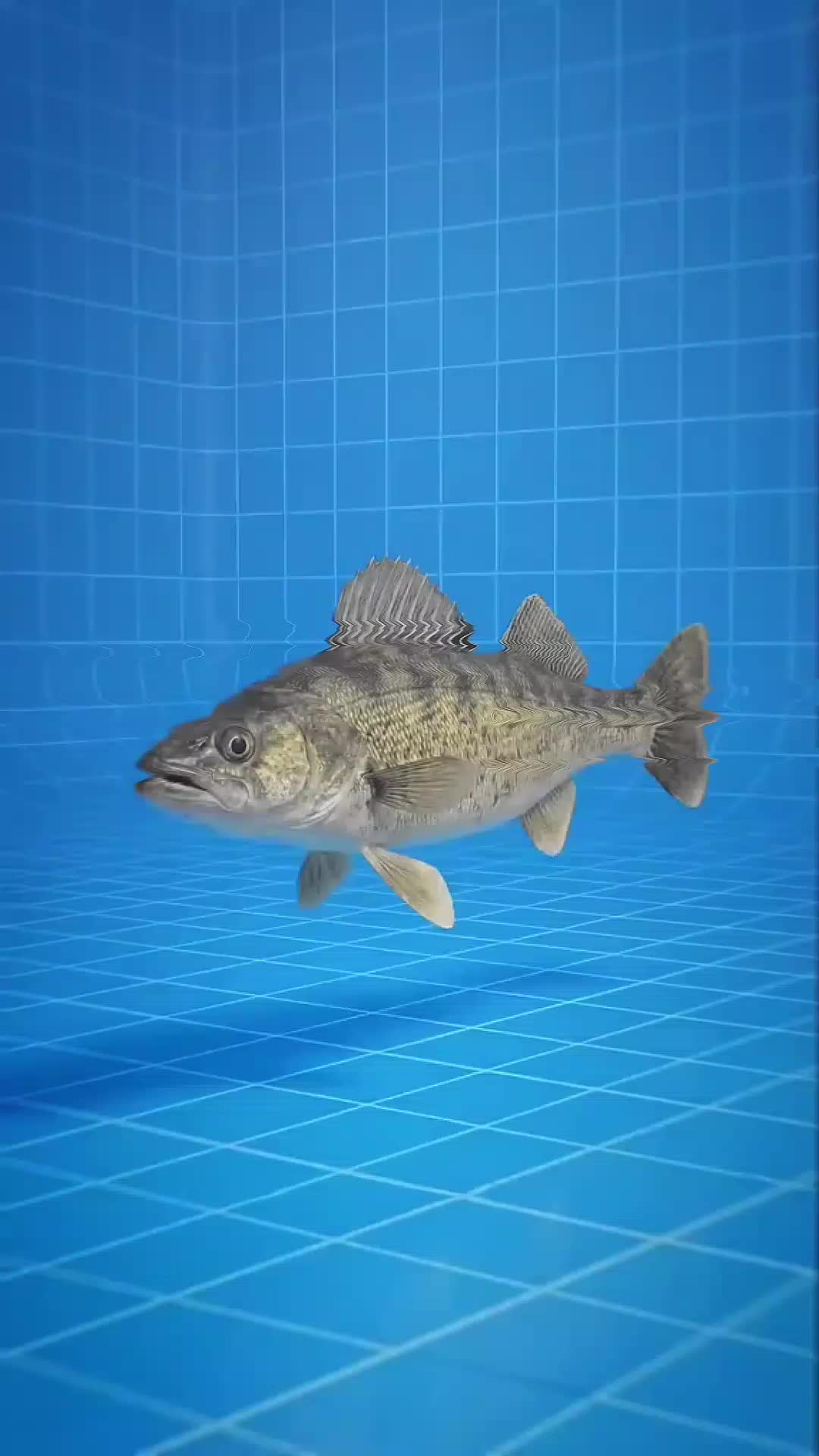 @ley•cyh𐙚