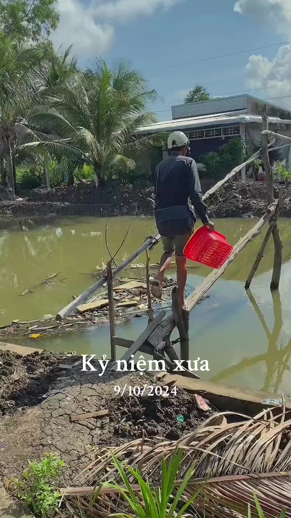 @Tuananh Do