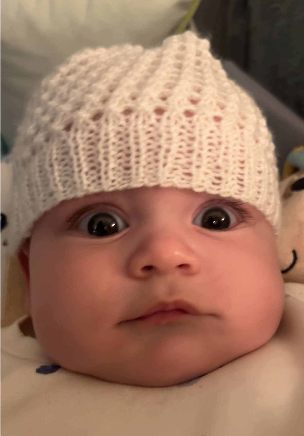 @J&uacute;lia Esp&oacute;sito