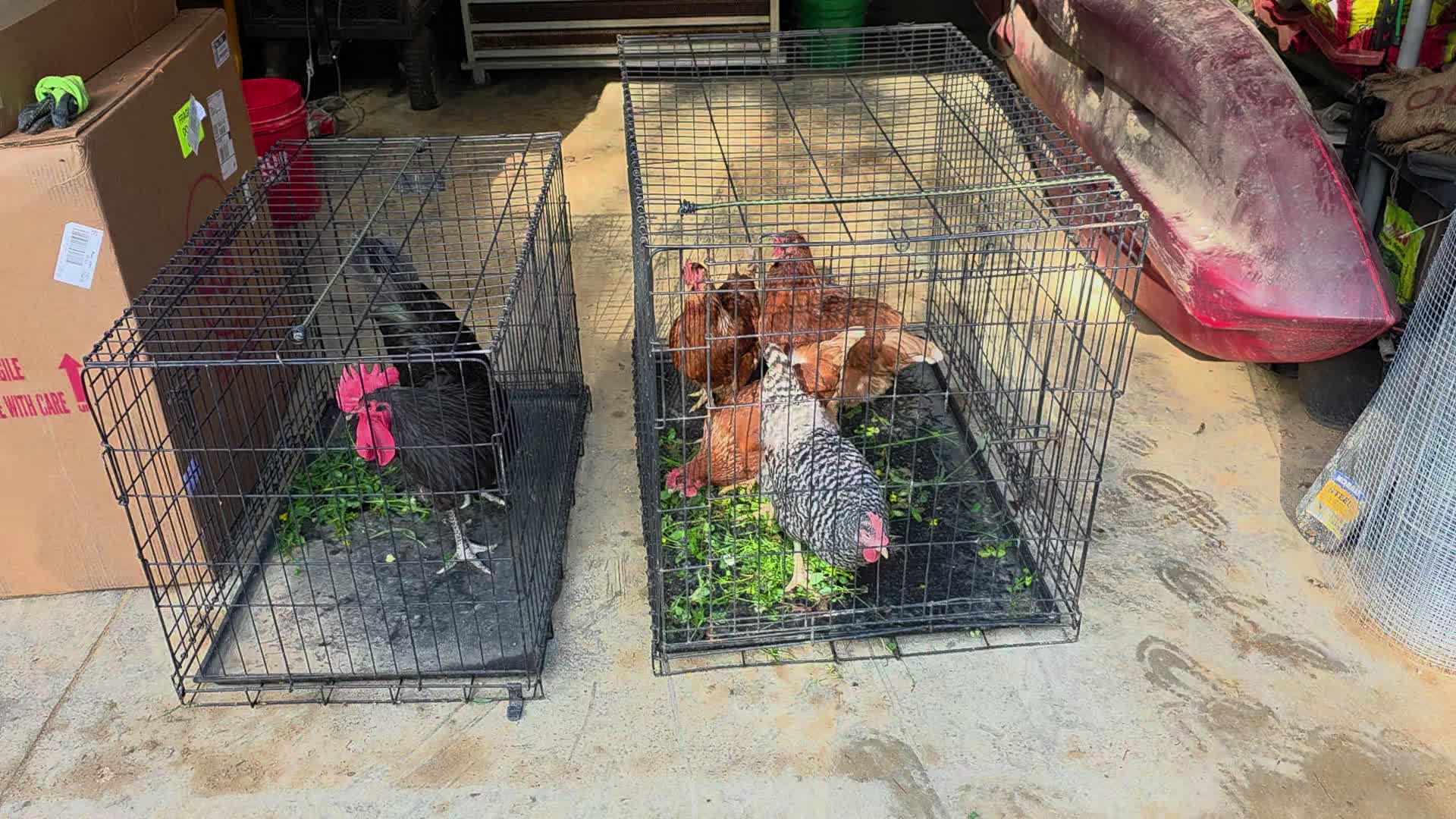 @JMFARMS123