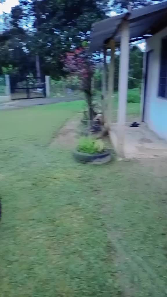 @#Abby_420_