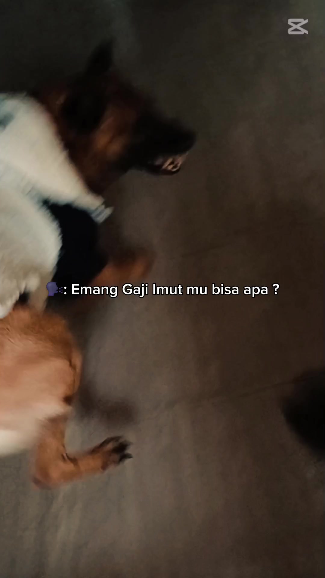 @ýáńííé🦁