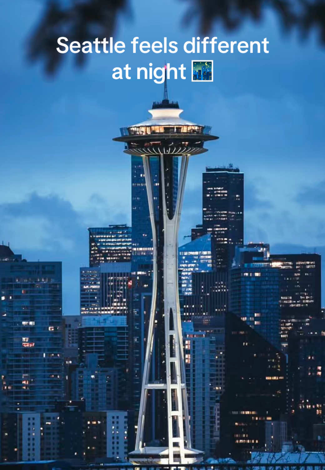 @Washington Vibes