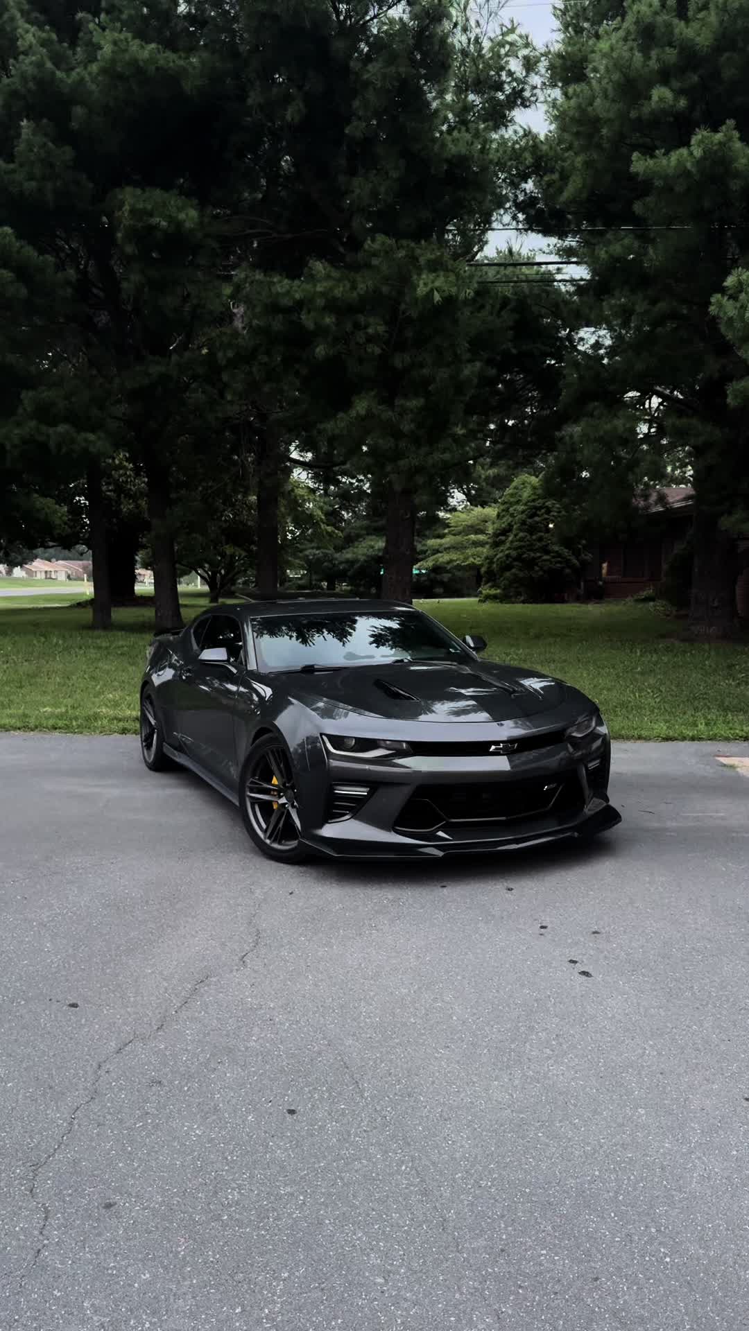 @LT1._ED