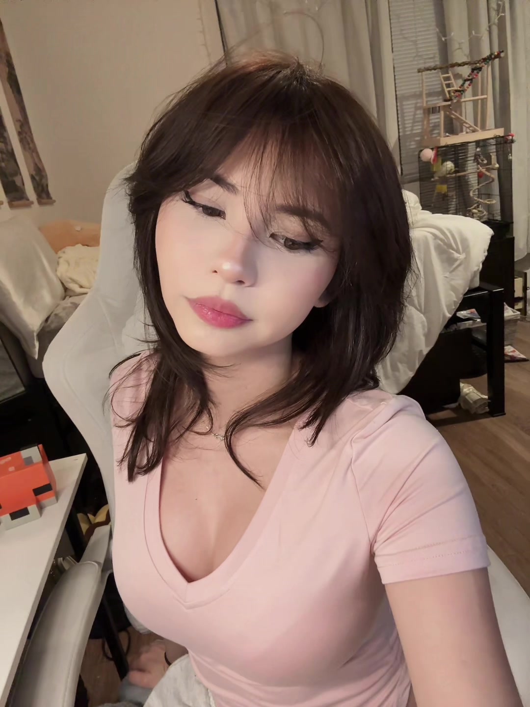 @yuki fox