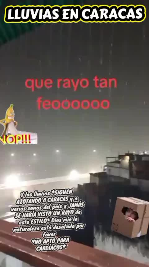 @Prof&Clean Armando Rodr&iacute;guez