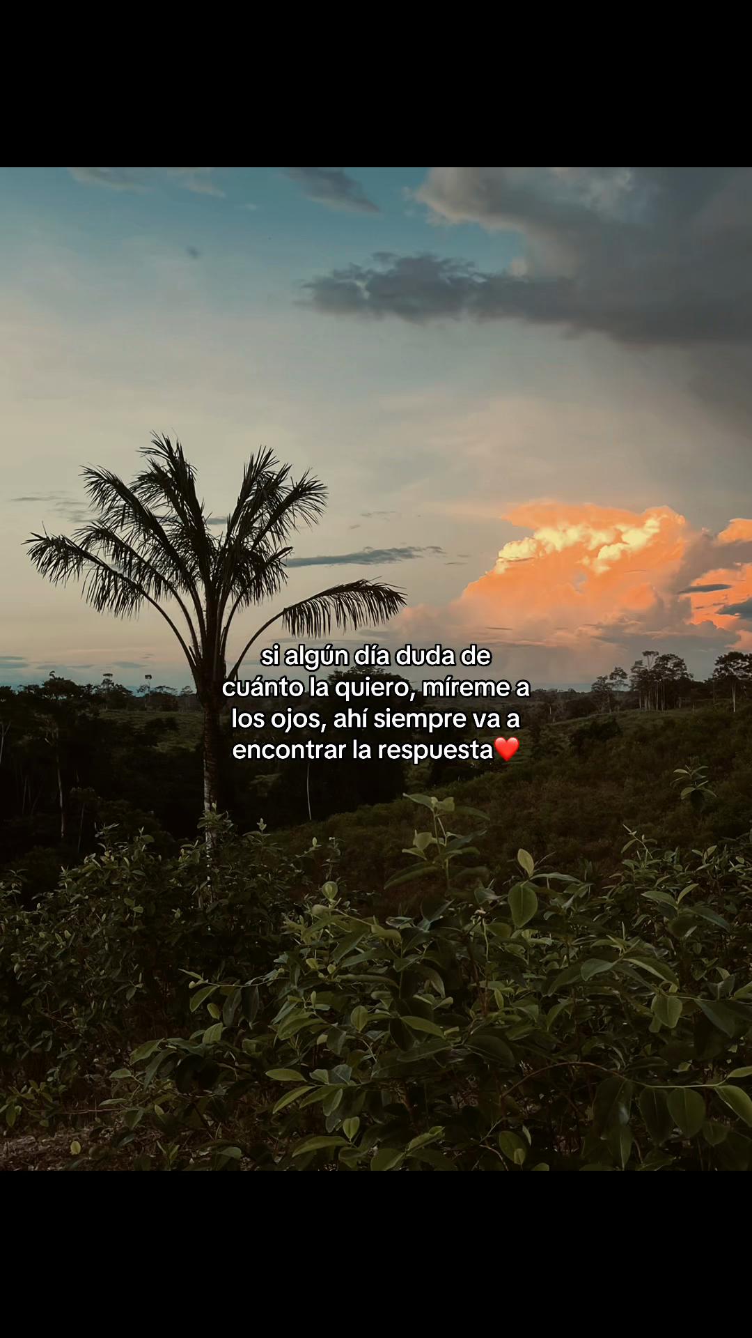 @Daniel Silva