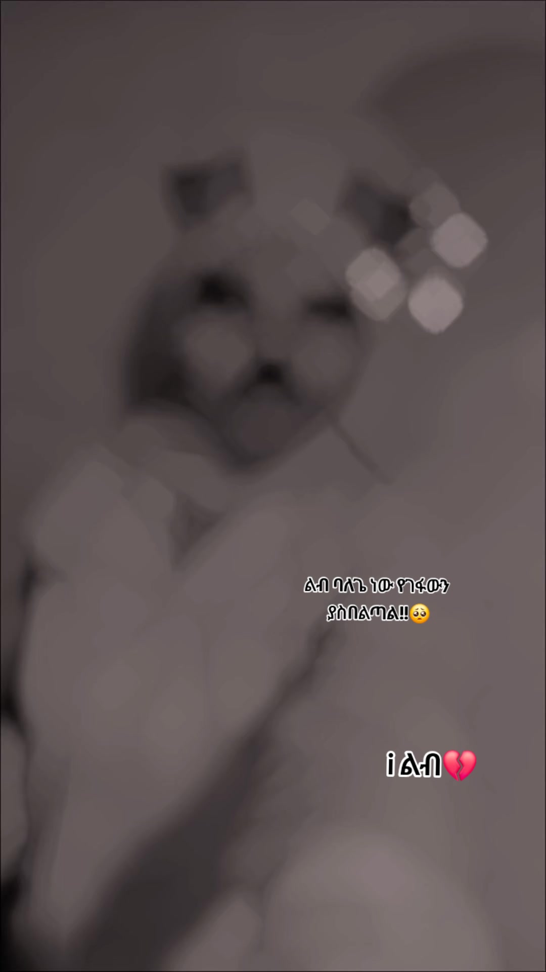 @𝑦𝑒𝑎𝑏𝑎𝑡𝑜 𝑙𝑖𝑗🕷🕸