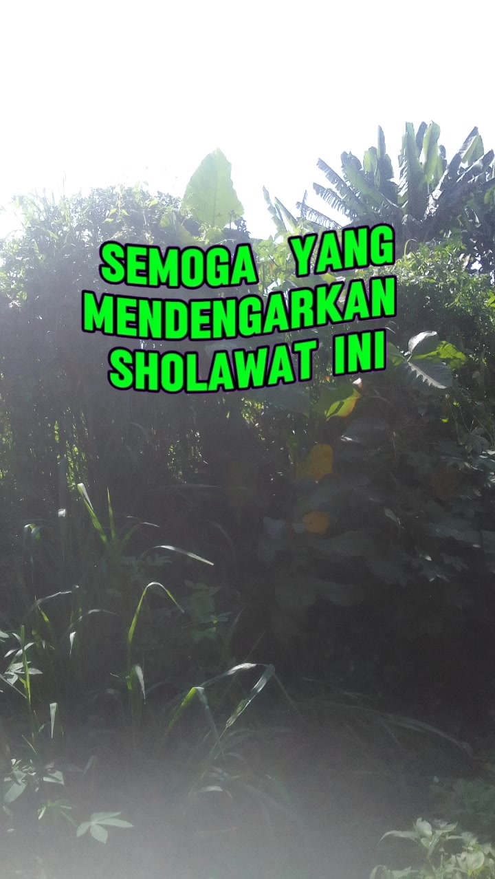 @kumis jabrig