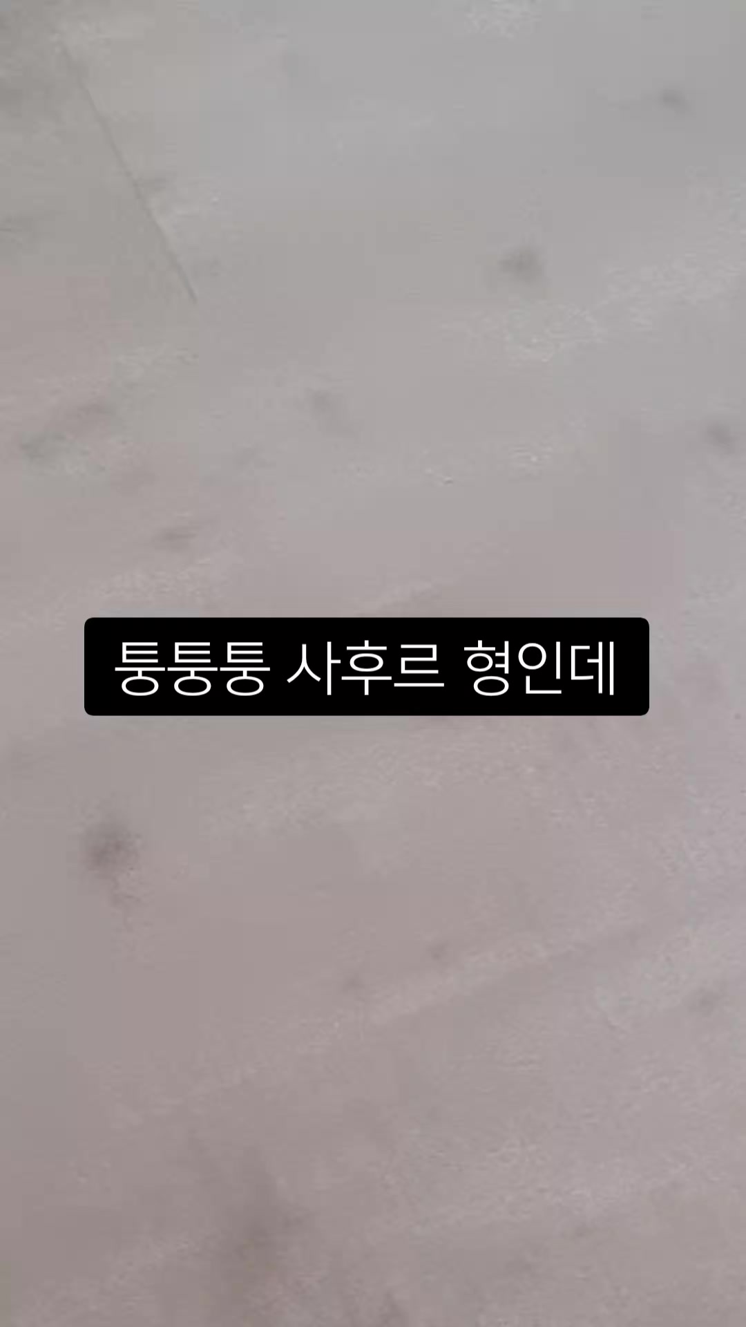 @乂乙_김해피