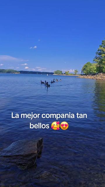 @Yeya Villeda