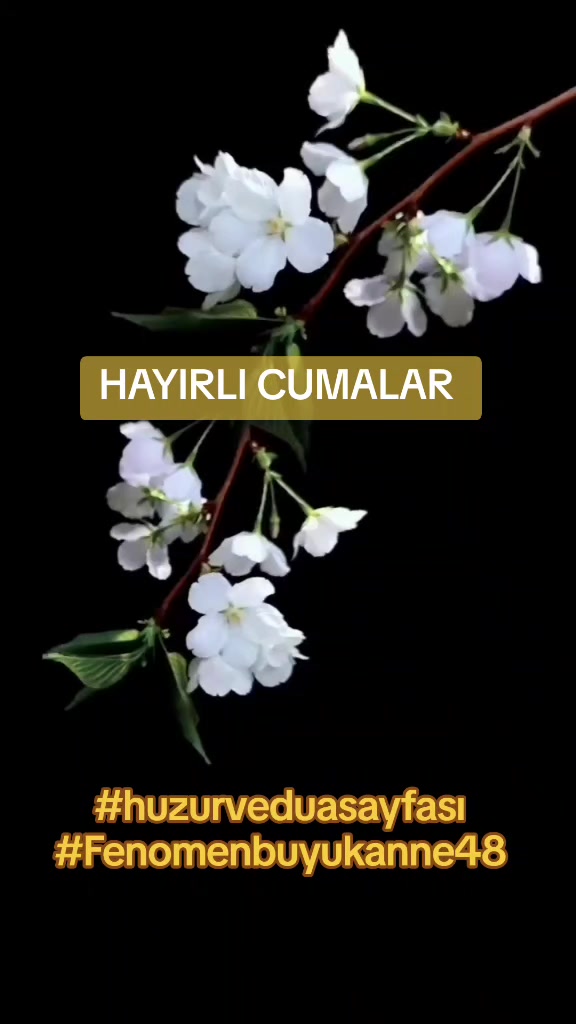 @Fenomenbuyukanne48