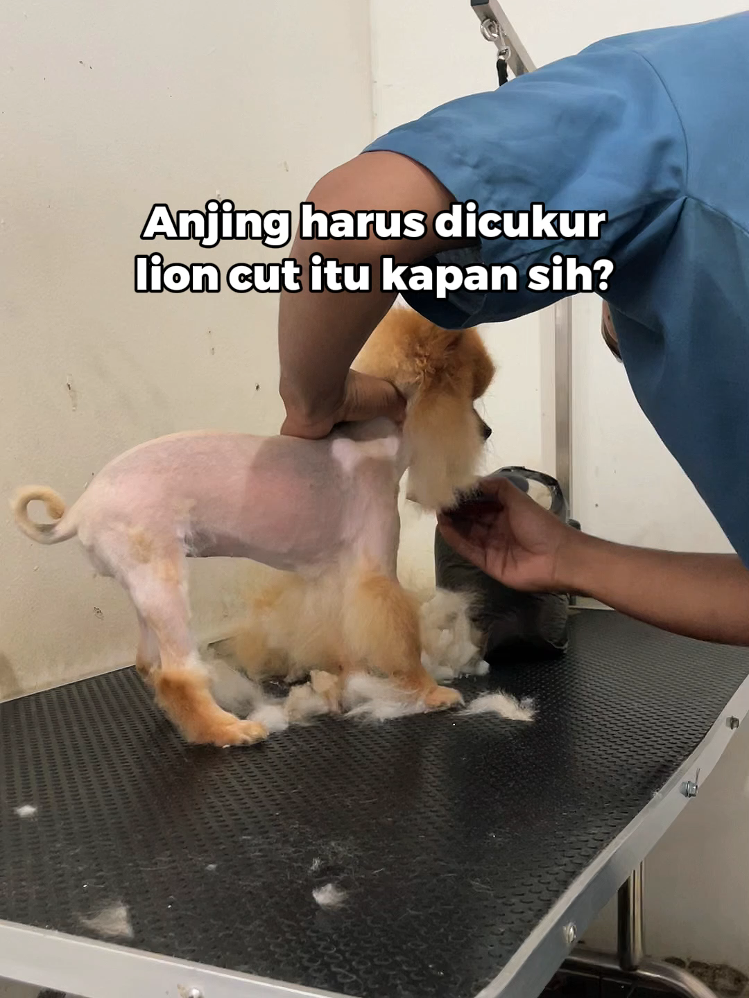 @Faunafella Care