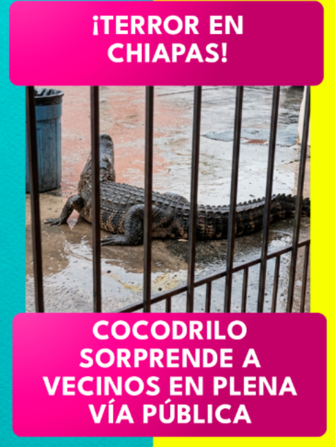 @Revista TVNotas