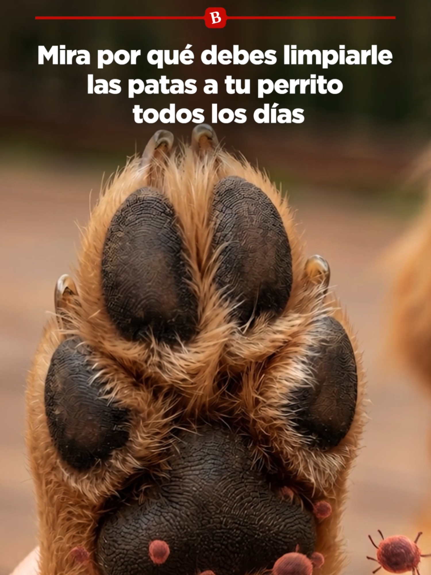 @Badabun