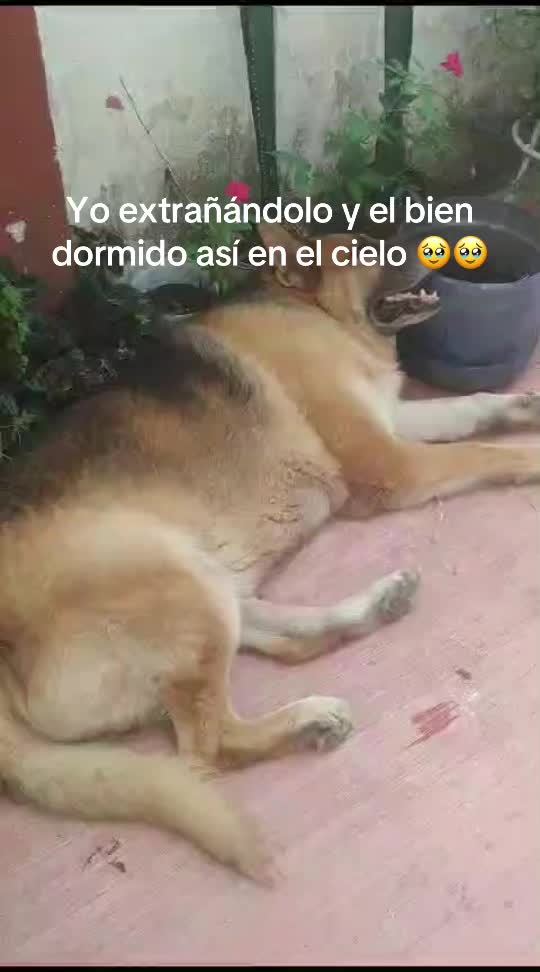 @Blanca Chavez