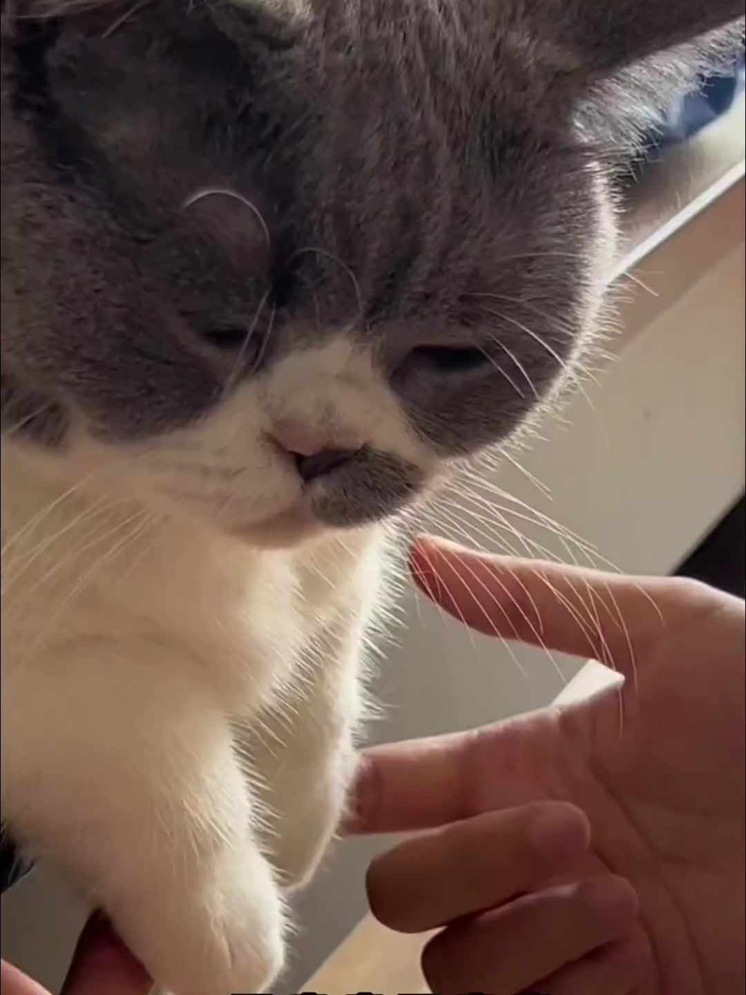@trạm cute