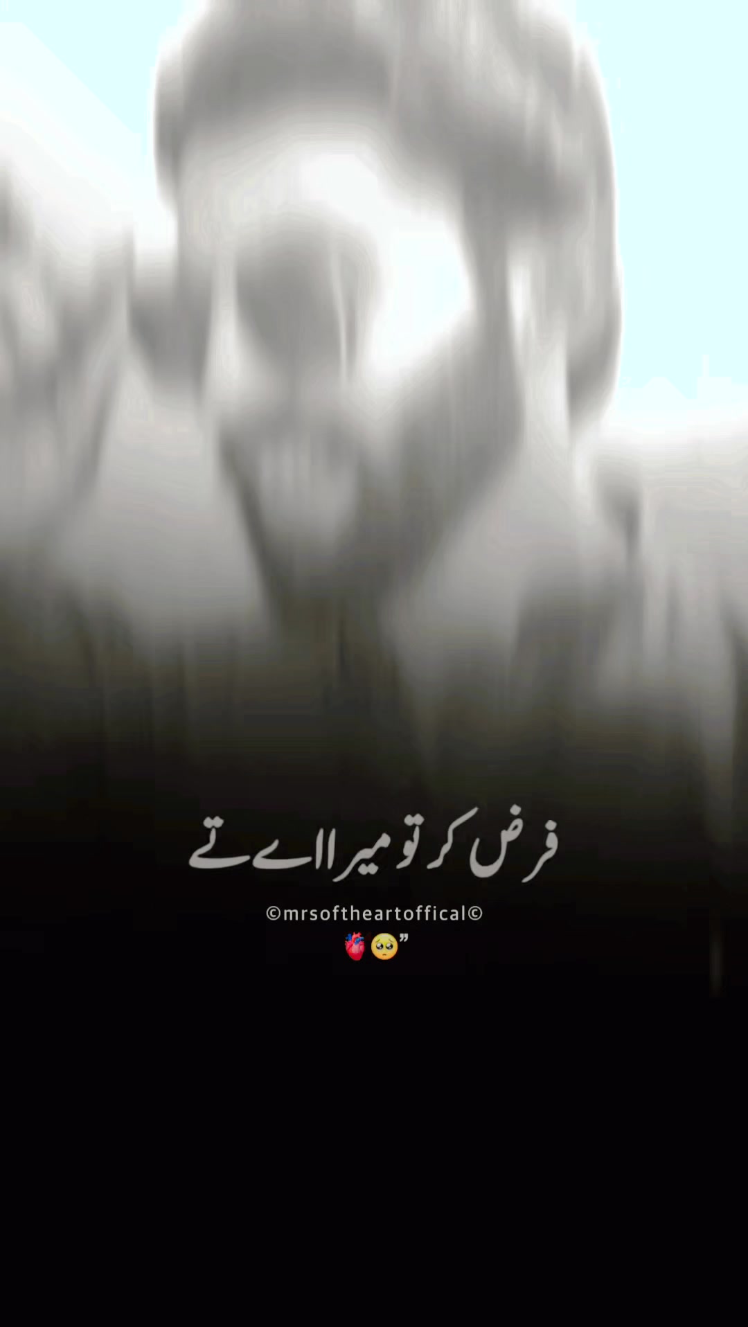 @FAIZ Hussain