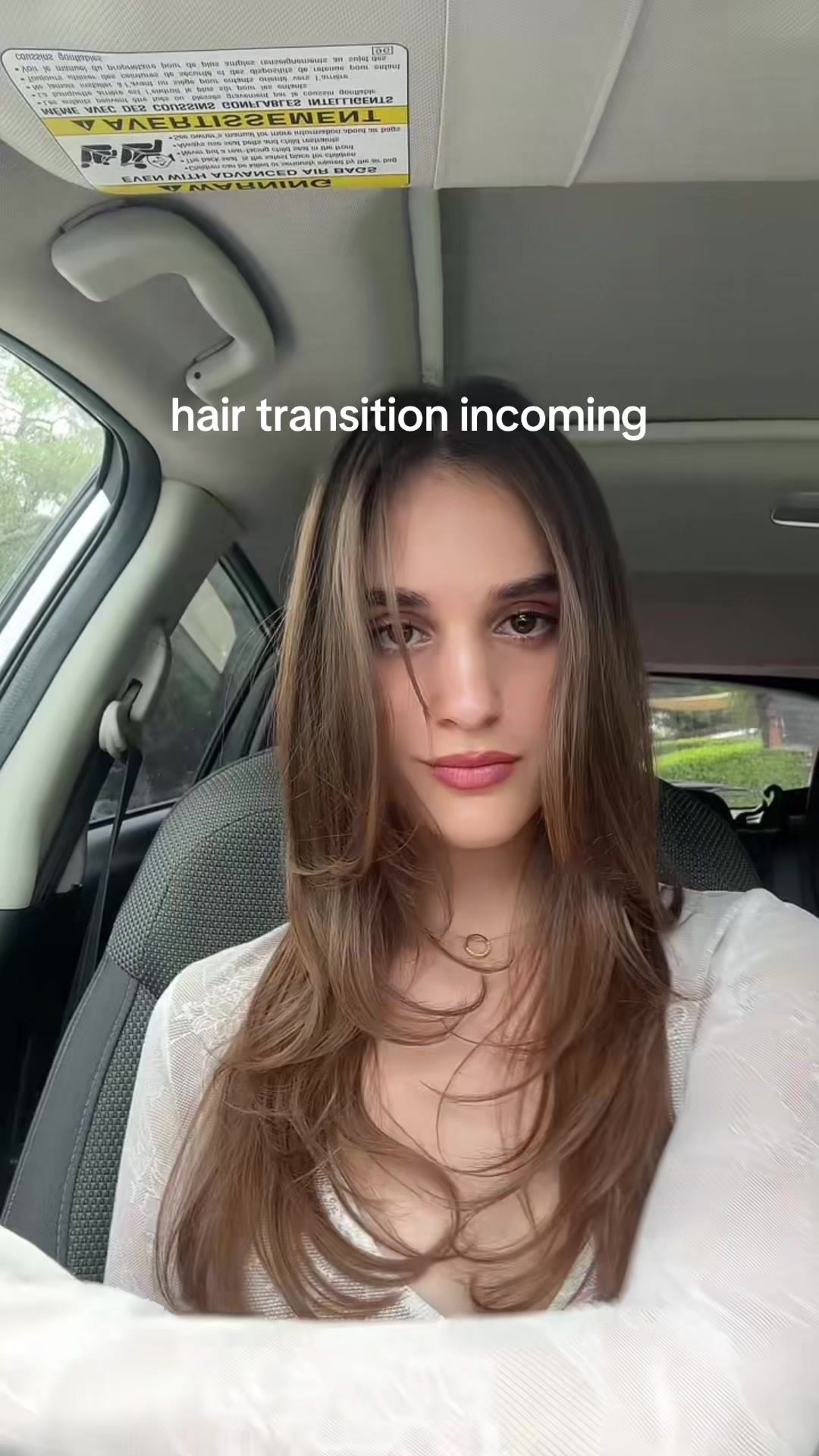 @karinelubany
