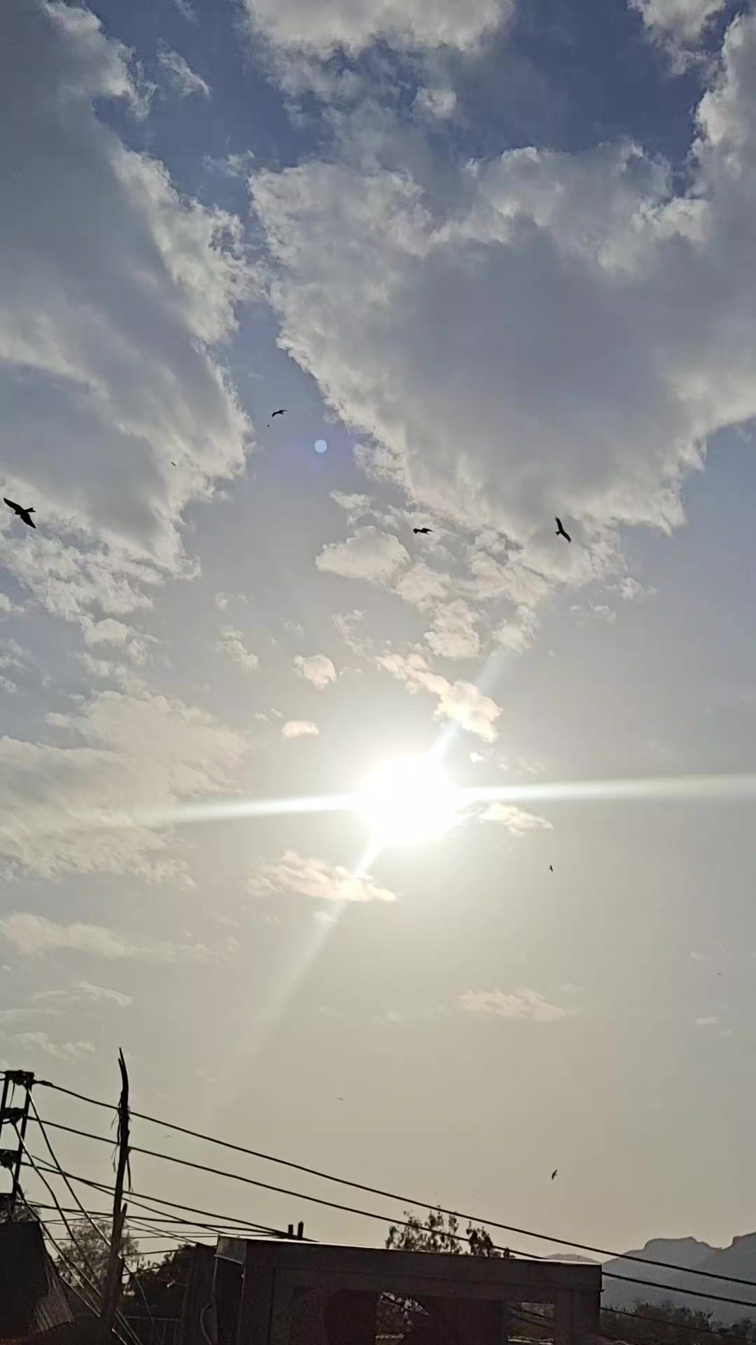 @tahirajaved
