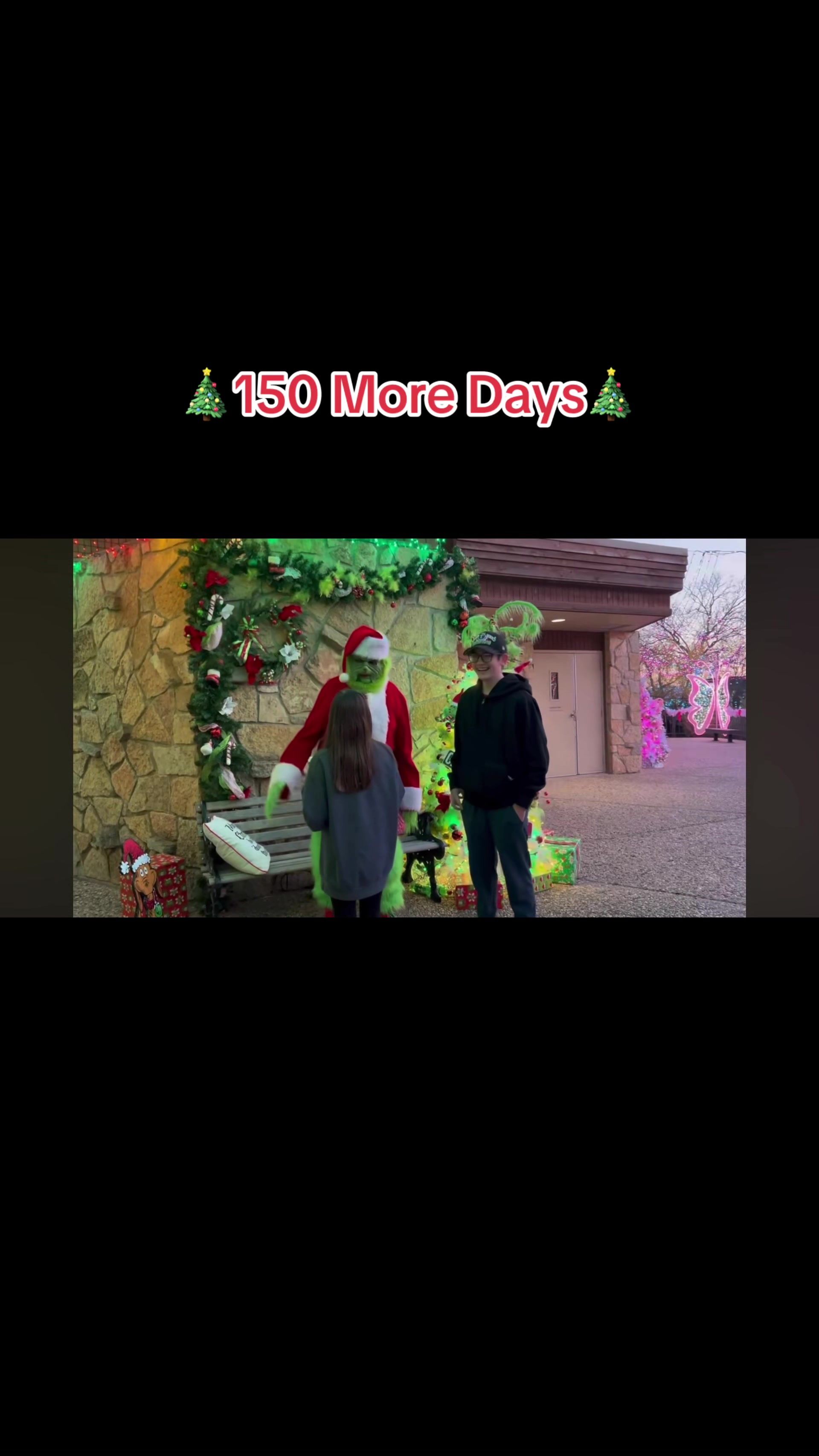 @christmas.tree65