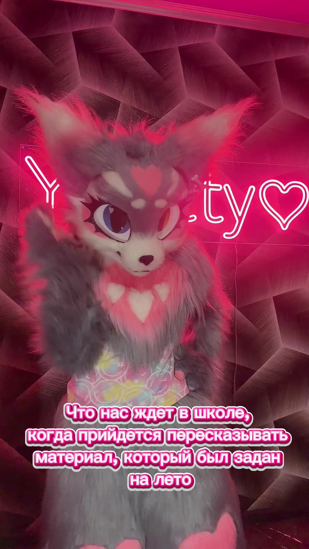 @🌷❀。˚⋆𝒀𝒖𝒏𝒊𝒕𝒕𝒚⋆˚。❀🌷