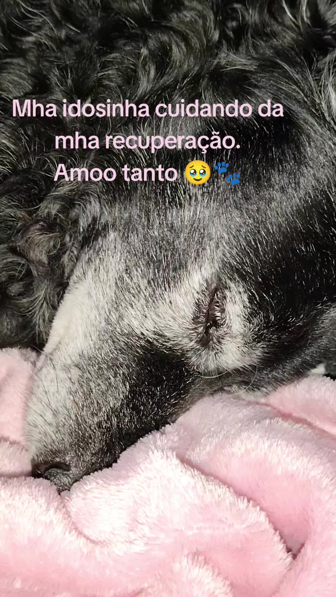 @Andréa❤