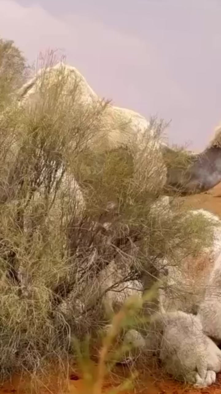@eooeo_78788