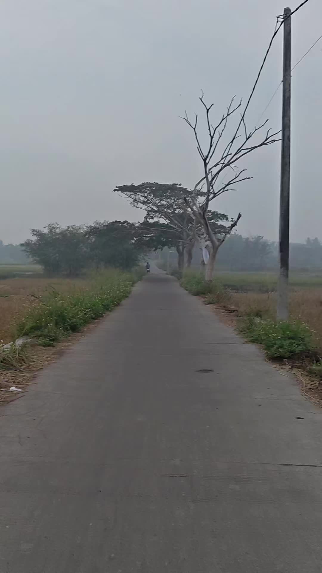 @Adi Story