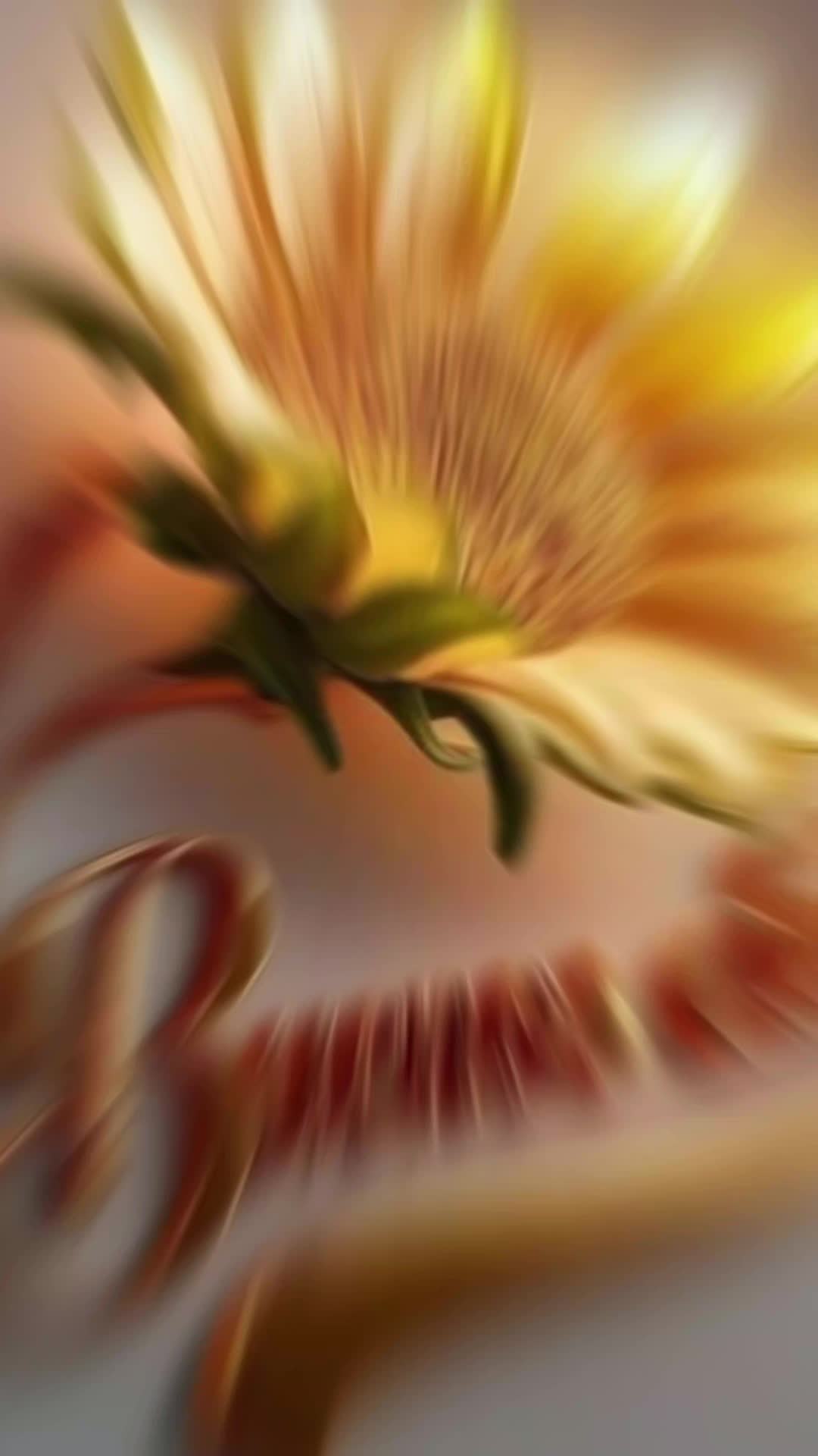 @🫂🐾🇻🇪♉️Masiel🫶 ⩜⃝🌈🦩