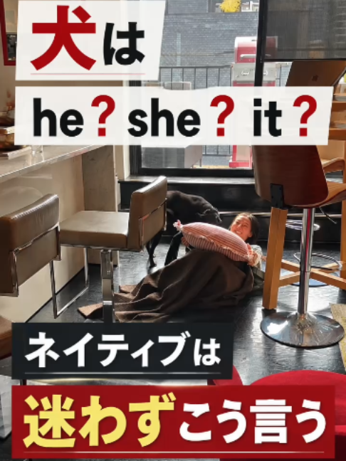 @ミニマリスト　イングリッシュ