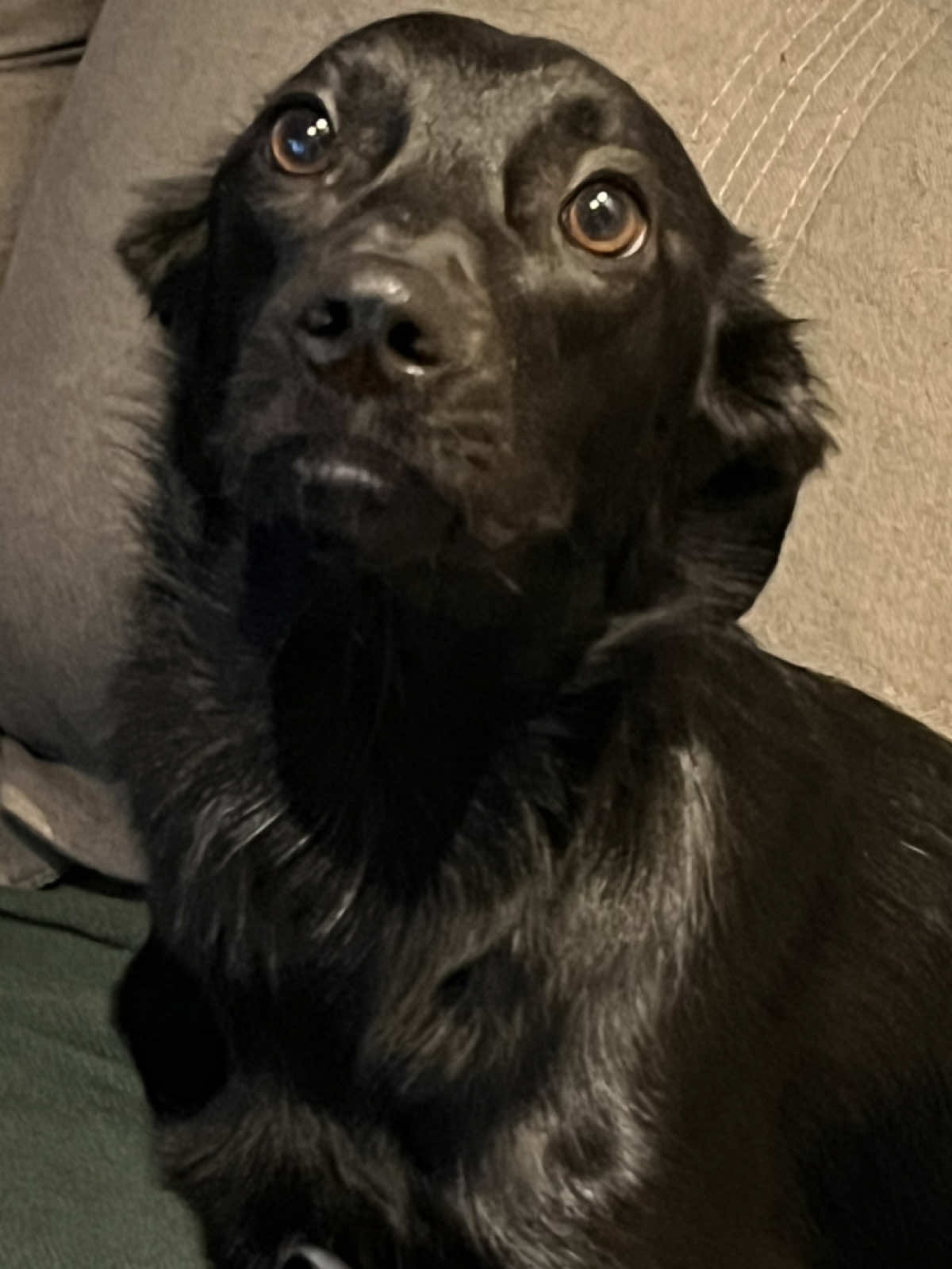 @Rodrigo Almeida