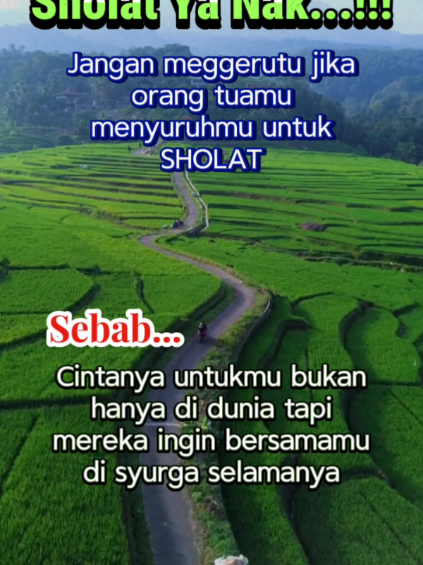 @Echa Qq