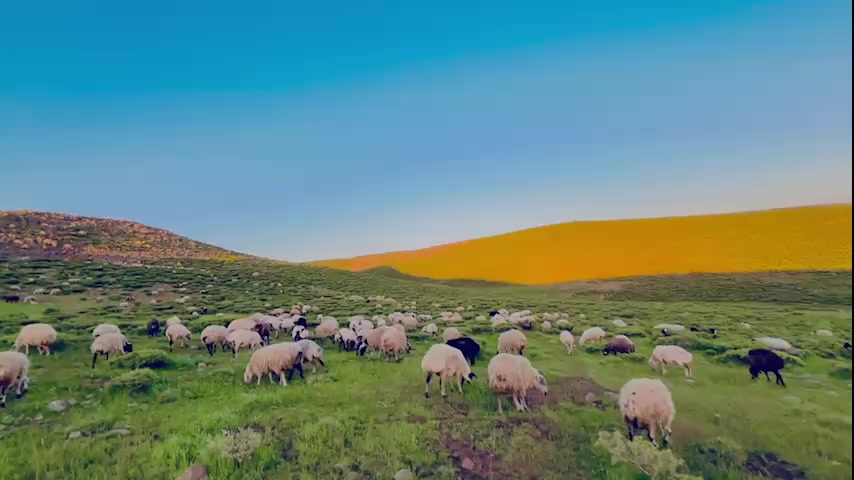 @keke sülo 💐💐