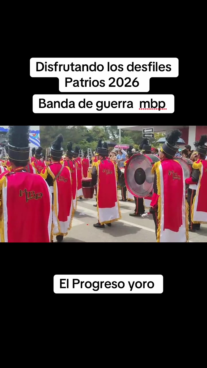 @castillo92246