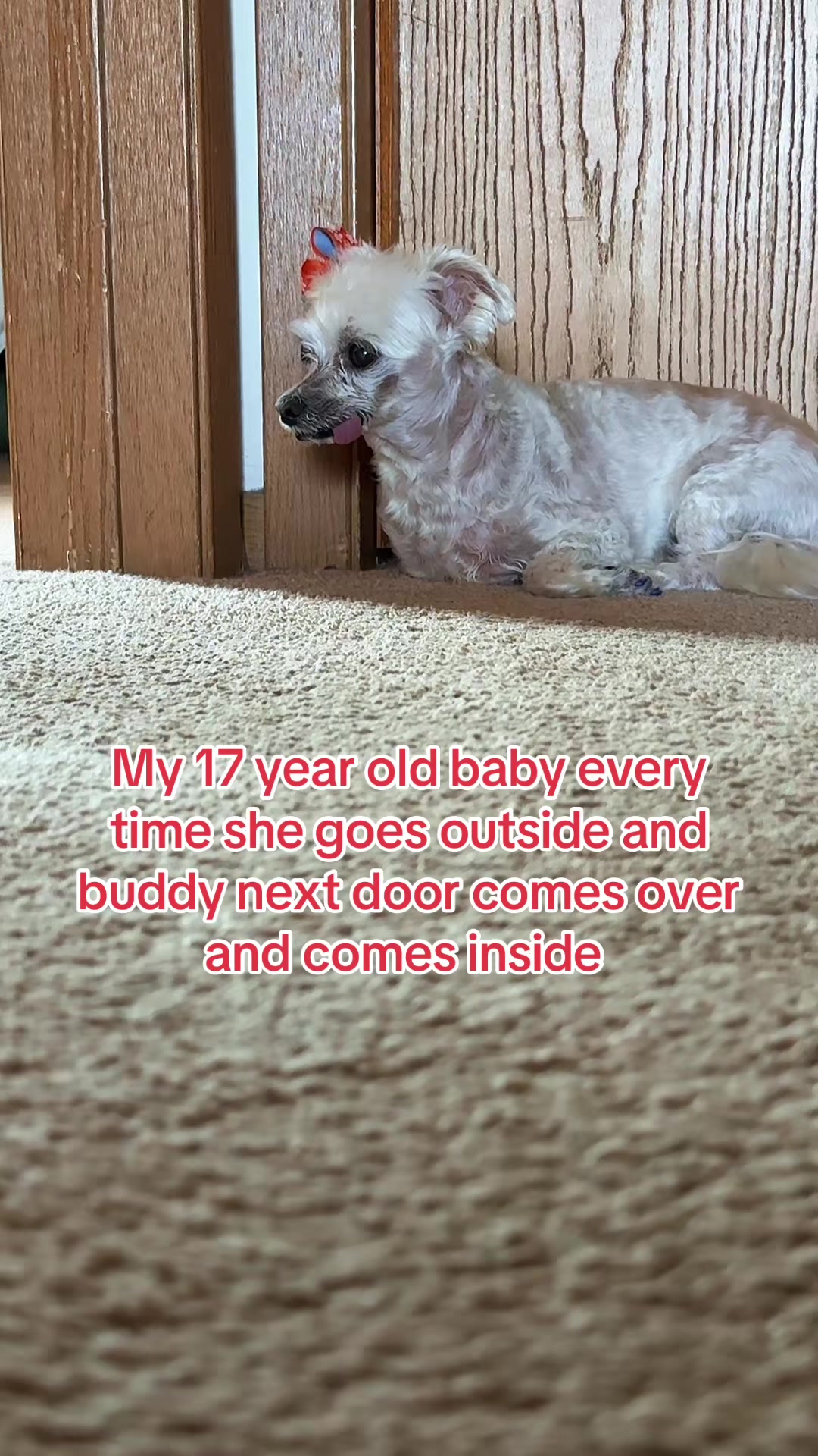 @The Williams