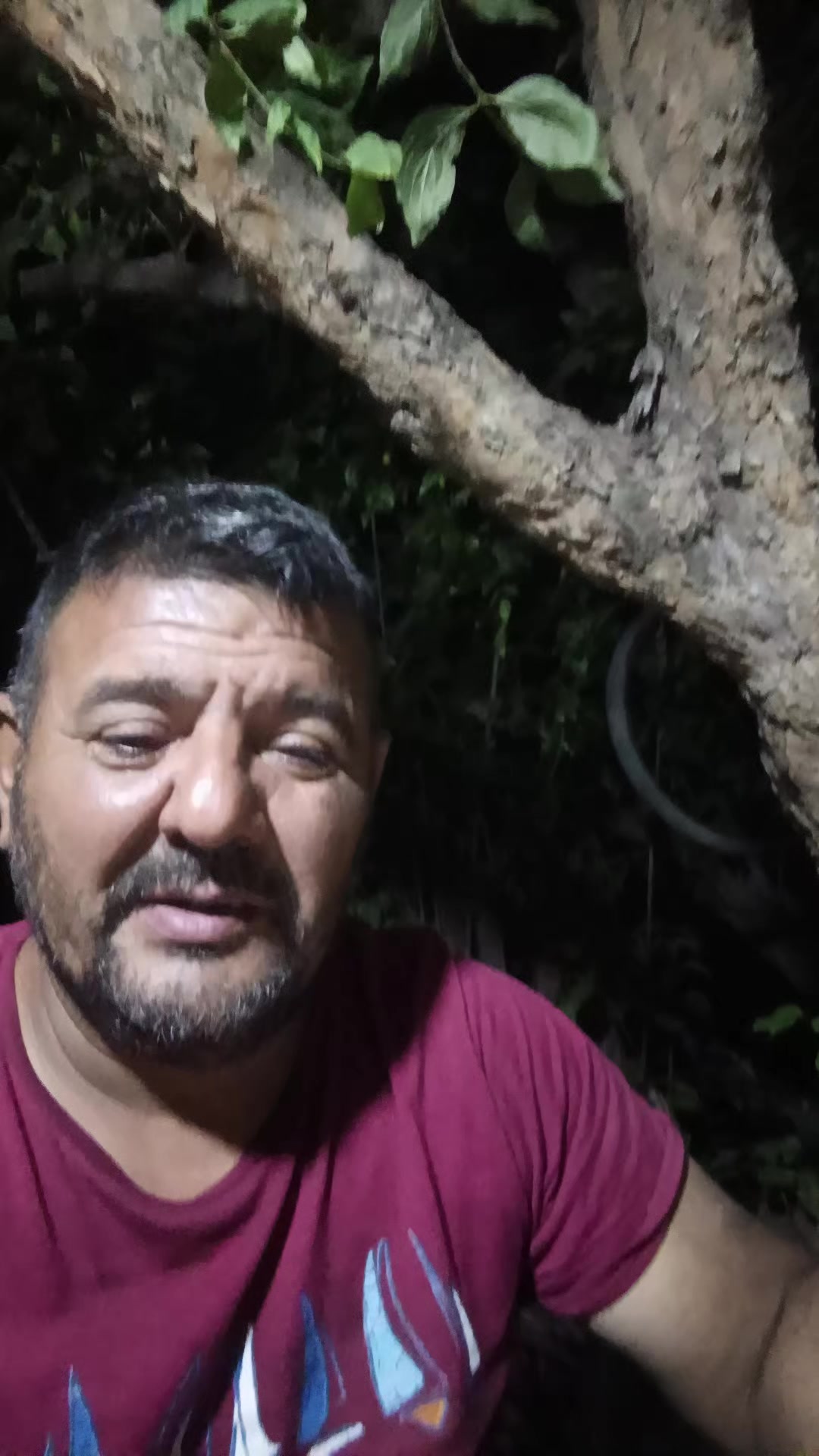 @lüt_Eşqin