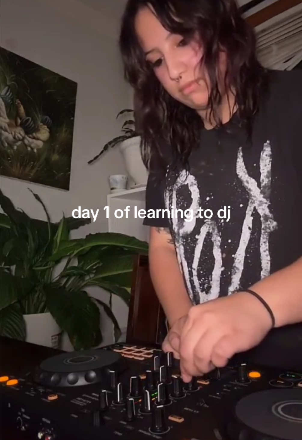 @cat
