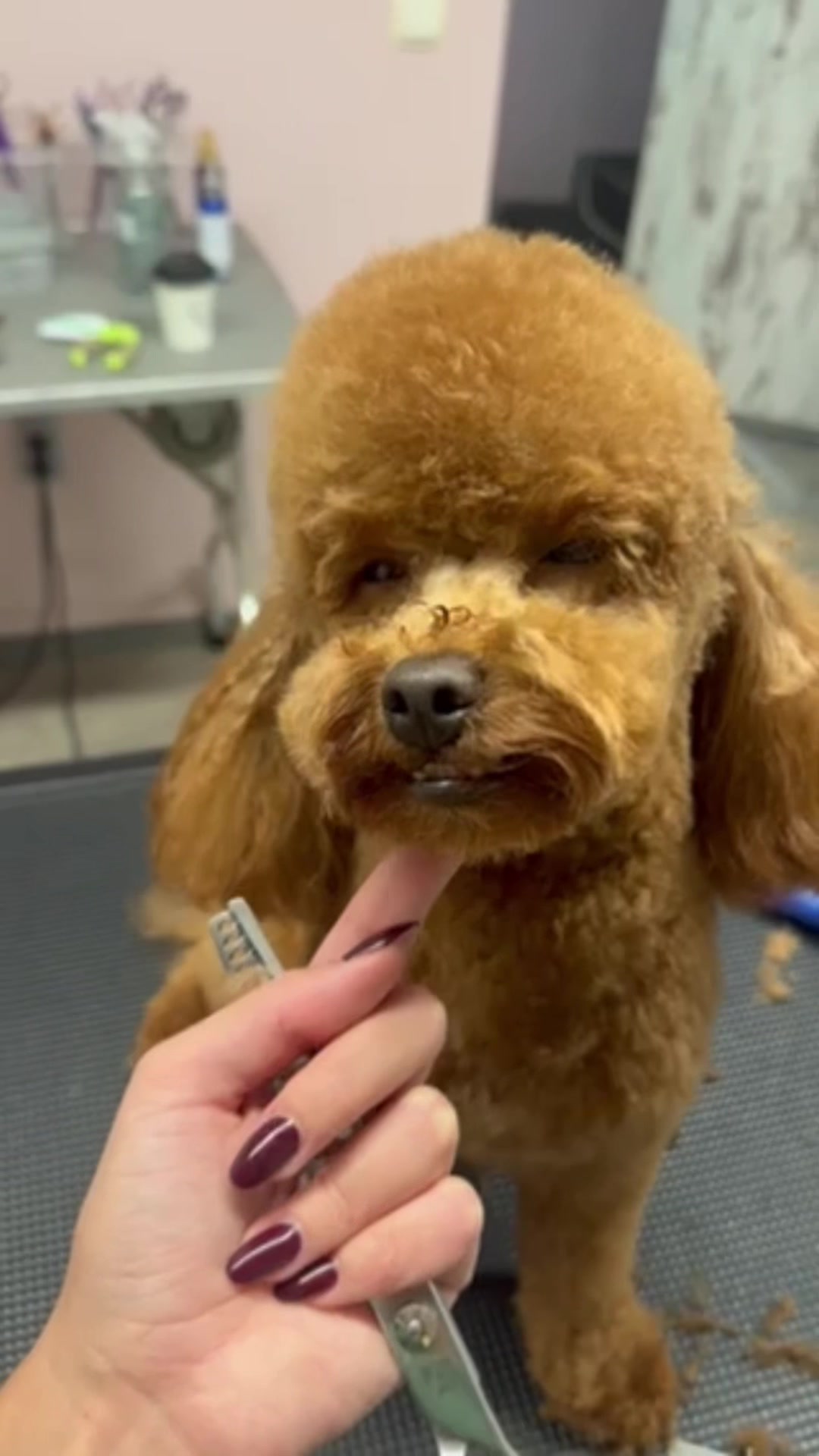 @ZARA🌸