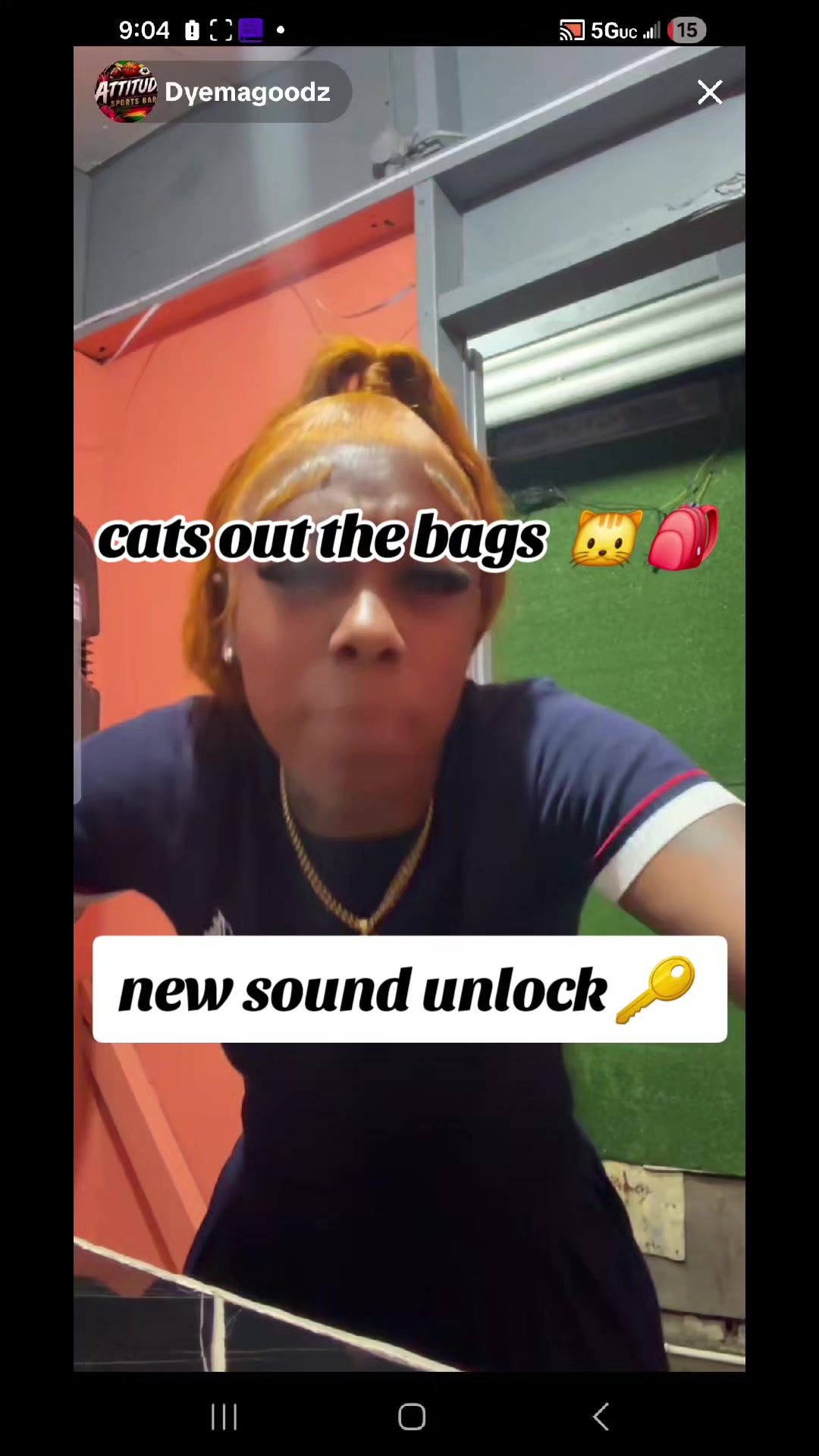 @cats out  the bags 🐱🐱🐱🐱🐱