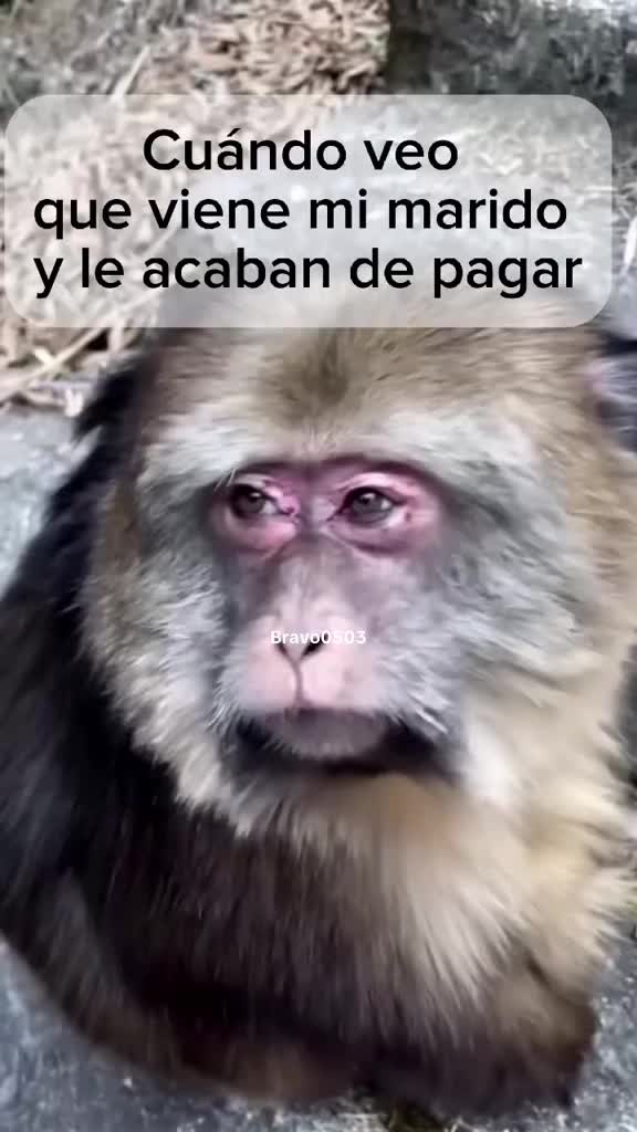 @Bravo0503