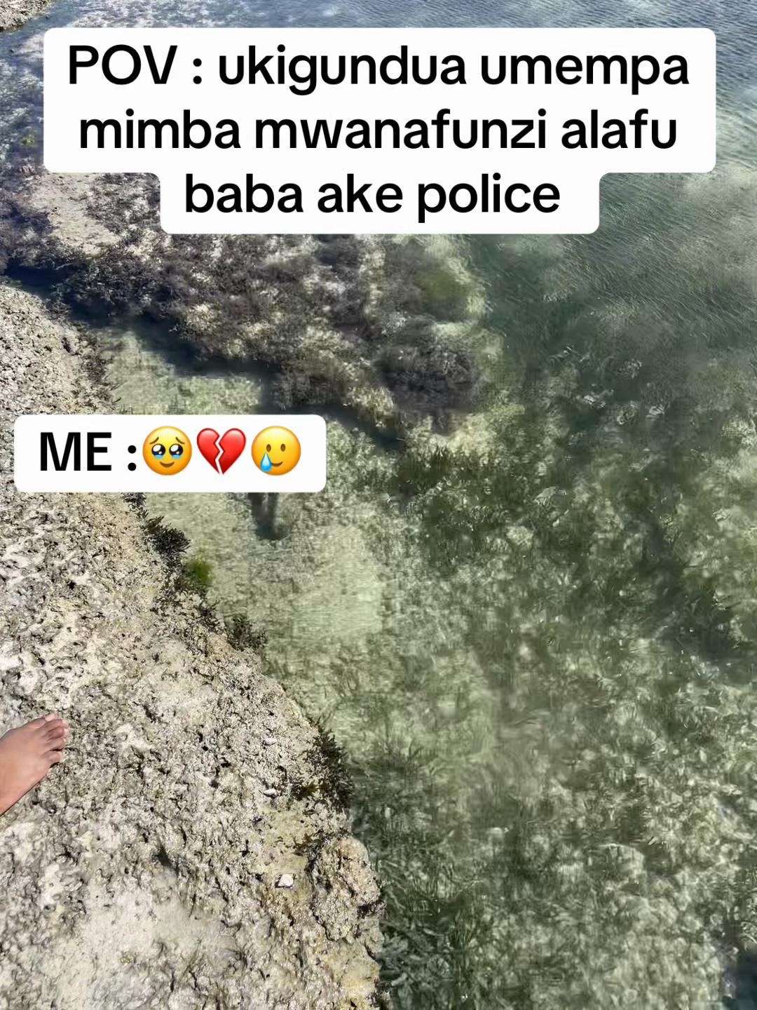 @Balozi😎